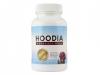 Hoodia Hoodia